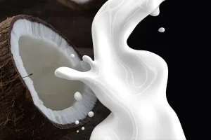 இலங்கை நோக்கி படையெடுக்கும் சுற்றுலா பயணிகள் – அறிமுகமாகும் செயலி