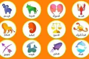 கனடாவில் அறிமுகமாகவுள்ள முச்சக்கர வண்டிகள்…