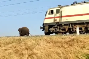 மாணவர்கள் சவால்களை எதிர்கொண்டு வெற்றி பெற வேண்டும்