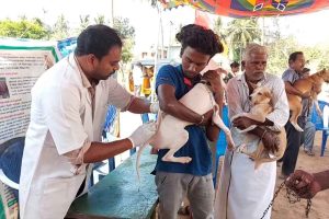 திருடர்களின் அட்டகாசம் கோவை மக்கள் பீதி