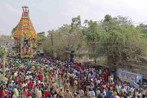 செல்ல பிராணிகளுக்கு வெறிநோய் தடுப்பூசி