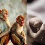 பாகிஸ்தான் முன்னாள் பிரதமர் இம்ரான் கானுக்கு பாதுகாப்பு ஜாமீன் வழங்கிய லாகூர் நீதிமன்றம்
