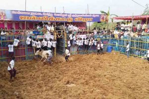 வட மாநில தொழிலாளர்கள் பாதுகாப்புடன் உள்ளனர்