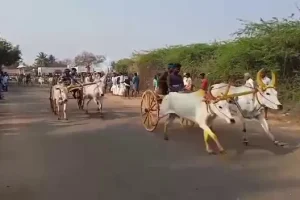 படிப்பறிவு இல்லாததுதான் காரணம்