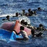 பட்டினி போட்டு 1000 நாய்களை கொடூர கொலை செய்த நபர்; வெளிவந்த அதிர்ச்சித் தகவல்!