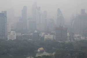 இதயம் மற்றும் உடலை ஆரோக்கியமாக வைத்திருக்க உதவும் உணவுகள்