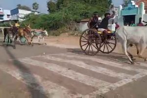கனடாவில் வீட்டு வன்முறையை தீர்க்கச் சென்ற பொலிஸாருக்கு நேர்ந்த கதி!