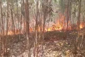 அமெரிக்காவுடனான உறவு வருந்ததக்க நிலையில் உள்ளது – டிமிட்ரி பெஸ்கோவ்!