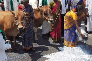 கொவிட் 19 தாக்கம் அமெரிக்காவில் குறைந்தது 238,500 அனாதரவாளர்களை உருவாக்கியுள்ளது.