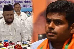 படகு போட்டியின் இறுதி சுற்றை அமைச்சர் உதயநிதி ஸ்டாலின்  துவக்கி வைத்தார்