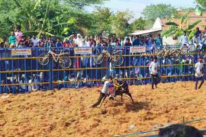 வேம்பன்பட்டி சுப்பிரமணிய சுவாமி திருக்கோவிலில் தேரோட்டம் வெகு விமர்சையாக நடைபெற்றது