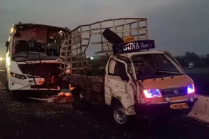 வழிவிட்ட காட்டுயானை