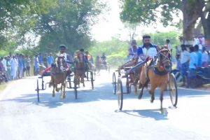 இத்தாலியில் உடன் அமுலாகும் வகையில் ChatGPTக்கு தடை