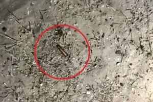 தினேஷ் சாப்டரின் மரண விசாரணை ஒத்திவைப்பு!