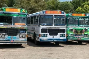 கைகள் கட்டப்பட்ட நிலையில் கண்டெடுக்கப்பட்ட இளம் பெண்ணின் சடலம் !