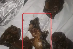 டொலரின் பெறுமதி தொடர்பில் ஜனாதிபதி ரணில் வெளியிட்டுள்ள அறிவிப்பு!