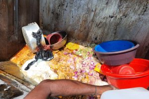இனப்பிரச்சினைக்கு தீர்வுக் காண வேண்டும் என்ற நிபந்தனையையும் ஐ.எம்.எஃப் விதிக்க வேண்டும் – செல்வம் அடைக்கலநாதன்!