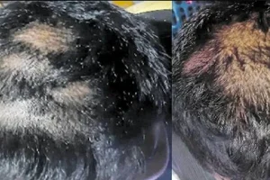 தேர்தலுக்கான நிதி தொடர்பில் பிரதமர் வெளியிட்டுள்ள தகவல்!