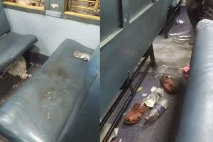 மிகமோசமான அளவு அதிகரித்துள்ள இந்திய வேலைவாய்ப்பின்மை சதவீதம்