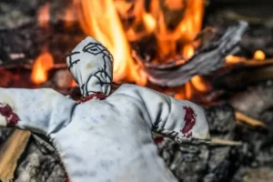 இலங்கை – இந்தியா பயணிகள் கப்பல் சேவை ஆரம்பம்!