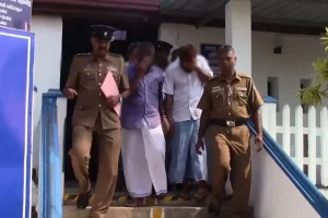 அரசுத் துறை பயன்பாட்டிற்கு மட்டுமே மின்சார வாகனங்கள் இறக்குமதி செய்யப்பட்டன – மனுஷ நாணயக்கார