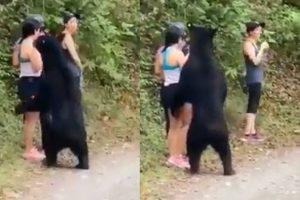 கடுமையான விதிகளுக்கு எதிராக ஹாங்காங் மக்கள் போராட்டம்