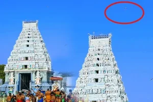 இந்திய ரூபாவை இலங்கையில் பயன்படுத்த திட்டம்!
