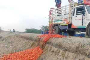 குற்றவாளிகளின் தரவுகளை பதிவு செய்ய  மென்பொருள்