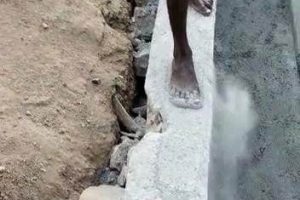 48 நாள் மஹா வேள்வி பூஜை