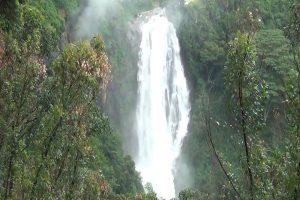 முதியோர்களின் தொல்லைகளை பொறுத்துக் கொள்ள முடியவில்லை – அரச ஊடக நிறுவனம் ஒன்றின் அறிவிப்பாளர் ராஜினாமா