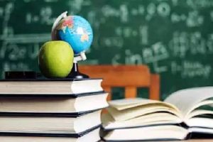 அமெரிக்காவில் மகள் தொலைத்த டெடி பியரை தேடும் தந்தை; அனைவரையிம் நெகிழ வைத்த காரணம்!