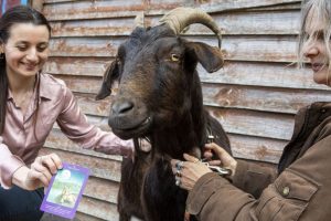 சூடானில் சிக்கியுள்ள இலங்கையர்களை மீட்க நடவடிக்கை!