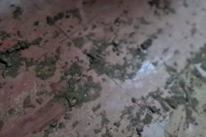 சிங்கப்பூரில் தமிழர் ஒருவருக்கு மரண தண்டனை!!! புதன்கிழமை தூக்கு