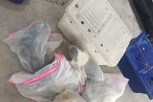 பிரான்ஸ் மக்கள் கடனாளியாக மாறும் நிலை