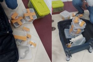இருசக்கர வாகனத்தில் சென்றவரை 5 பேர் வெட்டி விட்டு தப்பி ஓட்டம்
