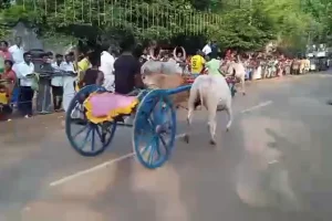 இனி இந்த நாட்டில் செல்ஃபி எடுத்தால் 275 யூரோ அபராதம்!