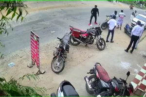 மலேசியாவிலிருந்து சென்னைக்கு 22 பாம்புகளுடன் வந்த பெண்; சுங்கத் துறையினரால் கைது செய்யப்பட்ட சம்பவம்!