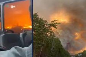 மேகன் மீது புகாரளித்த நபருக்கு உயரிய விருது வழங்கிய இளவரசர் வில்லியம்