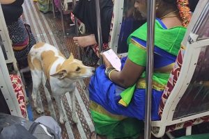 தமிழ் மக்களுக்கு பிடித்த பாலிவுட் நடிகர் பாத்திரம் கழுவுகின்றார்!! காரணம் தெரியுமா?