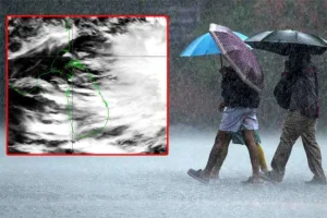 முக்கிய பாசன நீர்த்தேக்கங்களில் நீர்மட்டம் உயர்வு