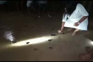 மருத்துவமனையில் ஒக்சிஜன் சிலிண்டர்கள்  திருட்டு