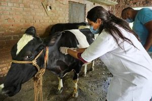 இலங்கையில் அதிர்ச்சி – தாயும், மகளும் கொடூரமாக கொலை