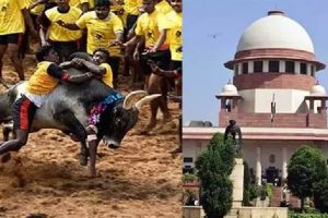 கானாவில் தங்க சுரங்கம் இடிந்து விழுந்து விபத்து – 7 பேர் பலி
