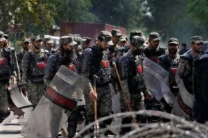 டொராண்டோவில் மலைப்பாம்பை தாக்கியவர் கைது