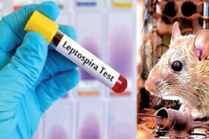 அயல் வீட்டிலிருந்து வரும் சத்தத்தால் தொல்லை.. பொலிஸாரிடம் புகார் அளித்த நபர்