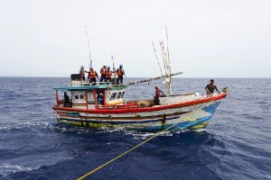 ஜேர்மனில் காடு ஒன்றில் கட்டிவைக்கப்பட்டிருந்த நபர்; பெண் ஒருவரைத் தேடி வரும் பொலிஸார்
