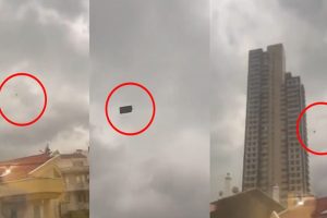 இலங்கையில் இணையத்தளம் ஊடாக பொருட்களை விற்பனை செய்ய புதிய கட்டுப்பாடு