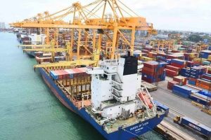 சிலியை உலுக்கிய பறவைக் காய்ச்சல் – 9,000 கடல் உயிரினங்கள் மரணம்