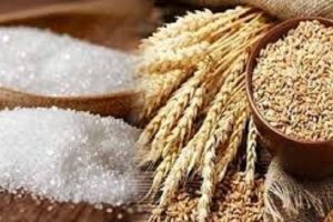 வீடு சுத்தம் செய்யும் கருவிக்குள் புகுந்த பாம்பு; கணவர் எடுத்த உடனடி முடிவு