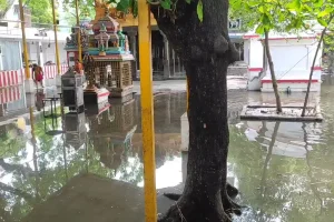 அமெரிக்காவின் உள்நாட்டு ஆலோசகராக நியமிக்கப்பட்ட இந்திய வம்சாவளிப் பெண்!